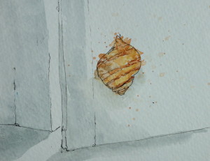 Snail on my door!