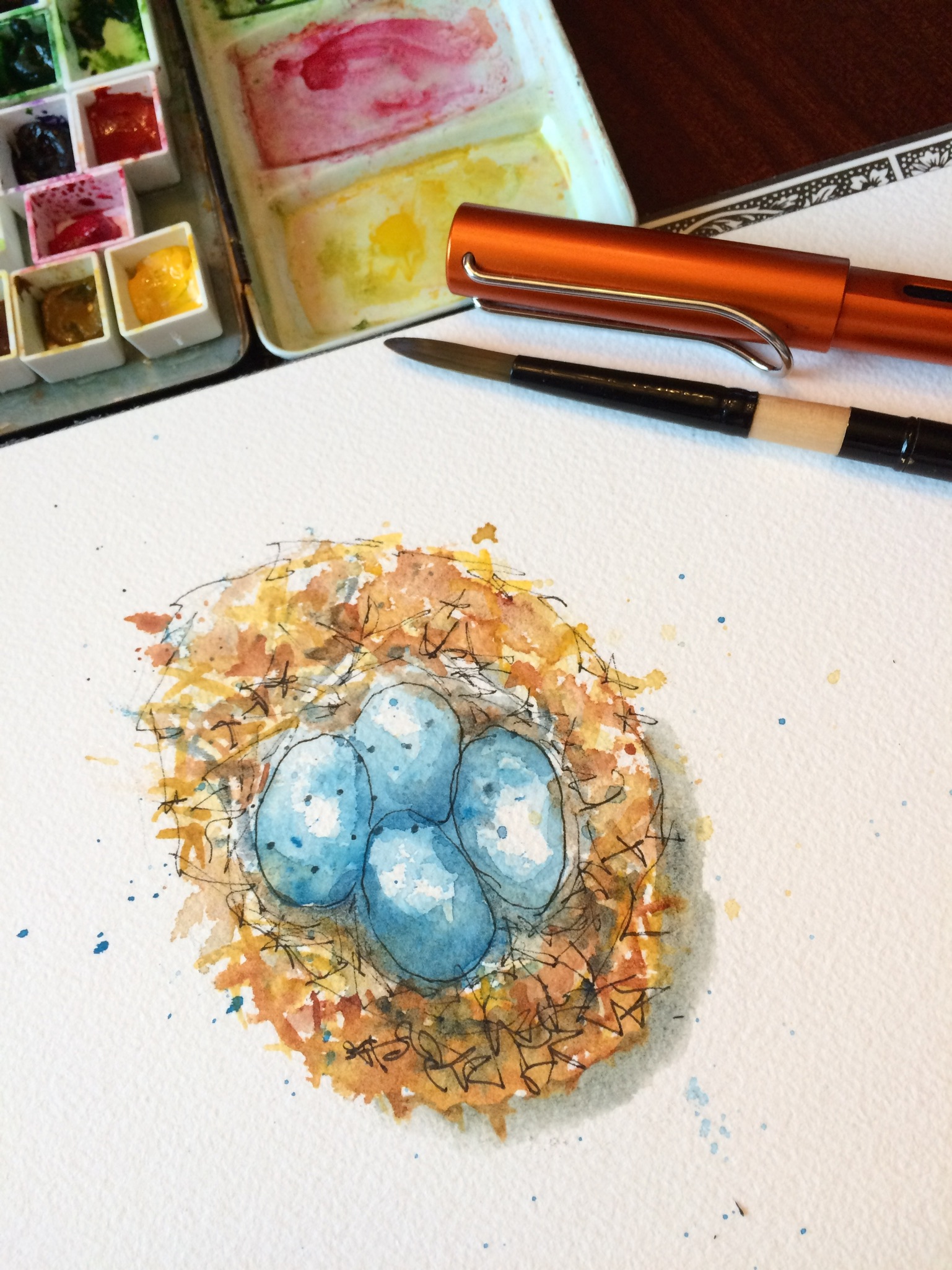 Robins nest with eggs