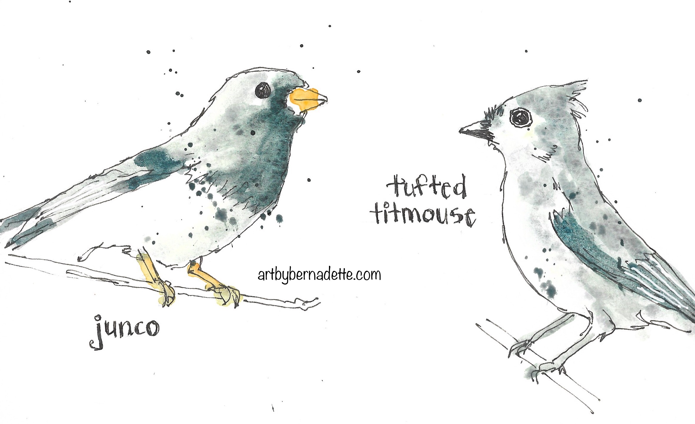 Junco and tufted titmouse